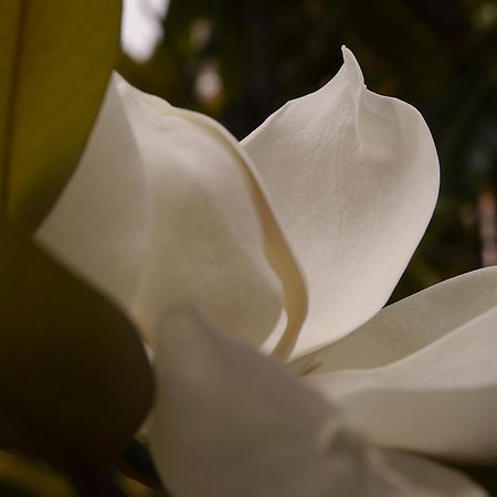 Rooms Chrysoula Vrasná المظهر الخارجي الصورة